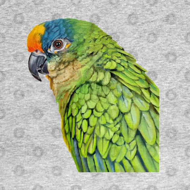 Amazon Parrot bird painting (no background) by EmilyBickell